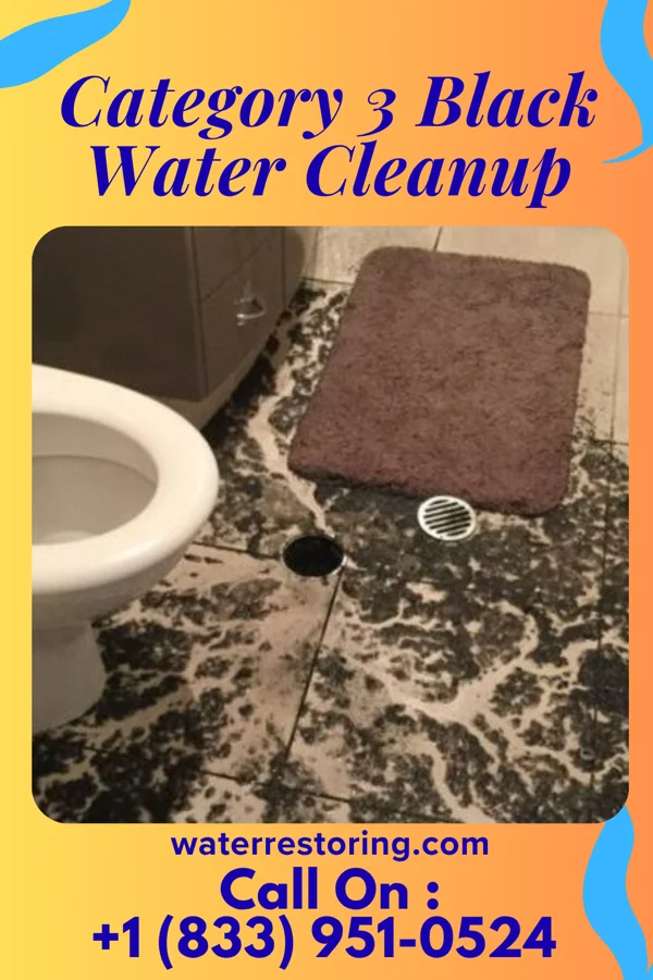 Category 3 Black Water Cleanup in New Milford, NJ