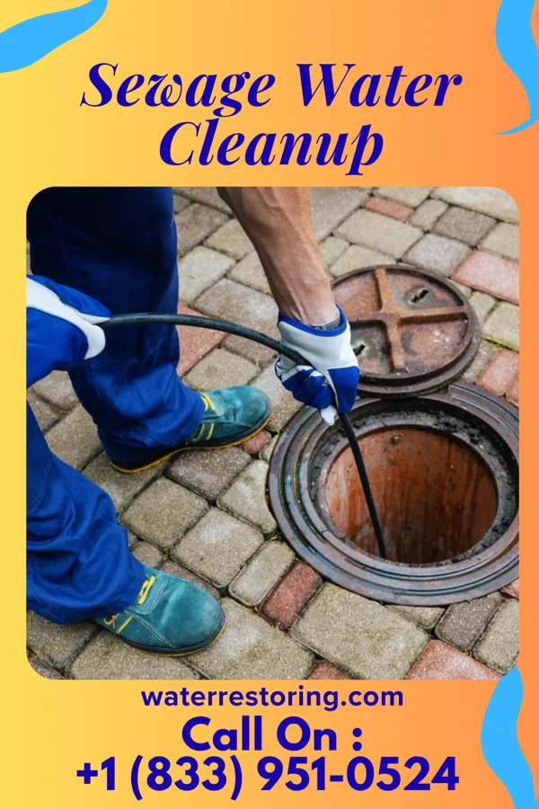 Sewage Water Cleanup in New Milford, NJ