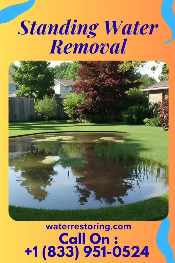 Standing Water Removal in New Milford, NJ